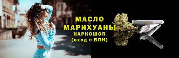 гашик Осинники