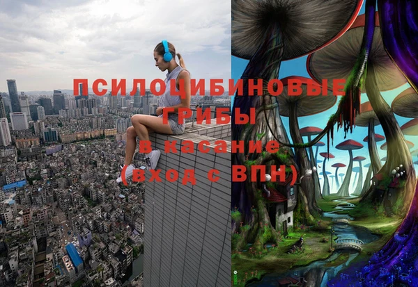 таблы Арсеньев